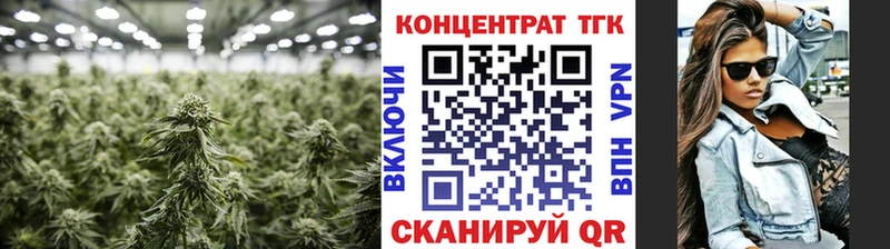 ТГК THC oil Благодарный