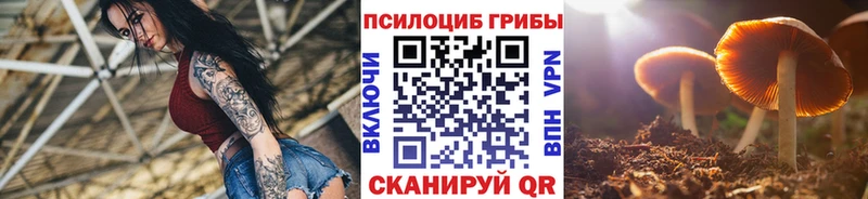 Псилоцибиновые грибы прущие грибы  Благодарный 